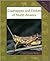 Grasshoppers And Crickets Of North America