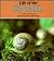 Life of the Snail (Nature Watch Series) (English and German Edition)