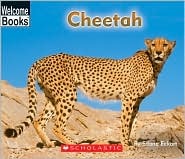 Cheetah (Library Binding)