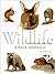 Wildlife Painting Basics Small Animals