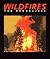Wildfires by Ann Armbruster