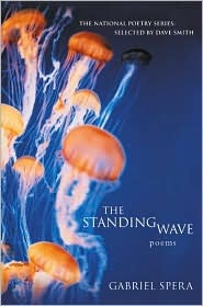 The Standing Wave (Paperback)