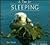 A Time for Sleeping (A How ...