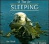 A Time for Sleeping (A How Animals Live Book)
