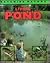 The Living Pond (Watching N...