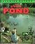 The Living Pond by Nigel Hester