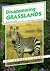 Disappearing Grasslands (Environment Alert!)