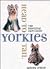 Yorkies Head to Tail: The Essential Care Guide