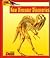 Looking At...New Dinosaur Discoveries (The New Dinosaur Collection)