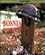 Bosnia: The Struggle for Peace (Headliners)