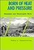 Born of Heat and Pressure: Mountains and Metamorphic Rocks (EARTH PROCESSES BOOKS)