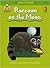 School Zone Raccoon on the Moon, Start to Read! Book Level 3: Ages 6 to 7, Rhyming, Early Reading, Vocabulary, Simple Sentence Structure, and More (Start to Read! Book Series)