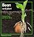 Bean and Plant (Stopwatch Series)