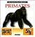 The Fascinating World of Primates (The Fascinating World Of... Series)