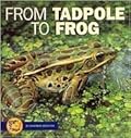 From Tadpole to Frog