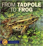 From Tadpole to Frog (Start to Finish)