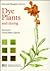 Dye Plants and Dyeing