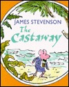 The Castaway (Library Binding)