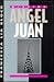 Missing Angel Juan (Weetzie Bat)