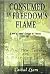 Consumed In Freedom's Flame : A Novel of Ireland's Struggle for Freedom 1916-1921
