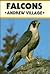 Falcons by Andrew Village
