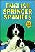 English Springer Spaniels