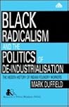 Black Radicalism and the Politics of De-Industrialization: The Hidden History of Indian Foundry Workers (Research in Ethnic Relations Series)