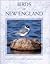 Birds of New England by Roger J. Lederer