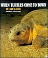 When Turtles Come to Town (First Book)