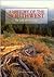 A History of the Southwest by Thomas E. Sheridan