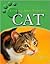 Cat (Looking After Your Pet)
