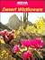 Desert Wildflowers (Arizona Highways)