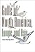 Gulls: Of North America, Europe, and Asia
