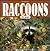 Raccoons for Kids: Ringed T...