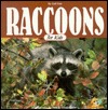 Raccoons for Kids: Ringed Tails and Wild Ideas (Paperback)