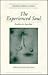 The Experienced Soul: Studies In Amichai (Modern Hebrew Classics)