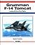 Grumman F-14 Tomcat: Leadin...