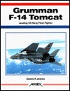 Grumman F-14 Tomcat: Leading US Navy Fleet Fighter