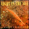 Light in the sea (Hardcover)