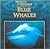 Blue Whales (Whales and Dolphins)