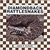 Diamondback Rattlesnakes (Checkerboard Books)