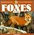 Foxes for Kids (Wildlife for Kids Series)