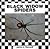 Black Widow Spiders