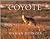 Coyote (Southeast Asia Series; 95)