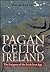 Pagan Celtic Ireland: The Enigma of the Irish Iron Age
