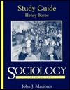 Sociology: Study Guide (Paperback)