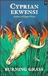 Burning Grass