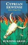 Burning Grass (Paperback)