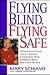Flying Blind, Flying Safe