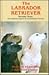 The Labrador Retriever